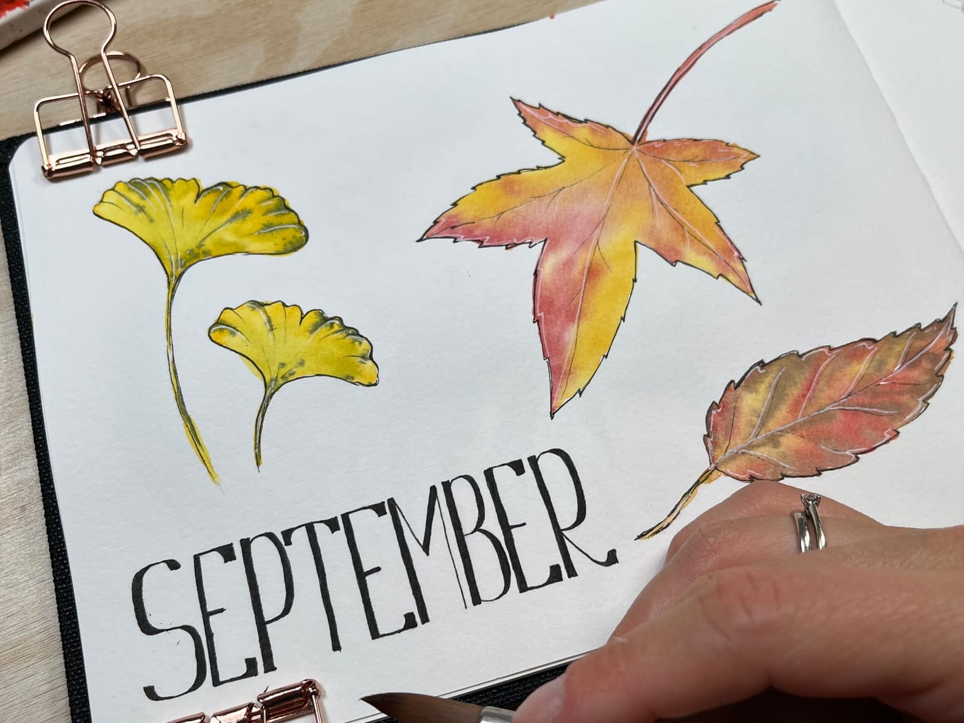 Sketchbook page of autumn leaves with hand-lettered 'September'